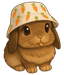 Copi logo
